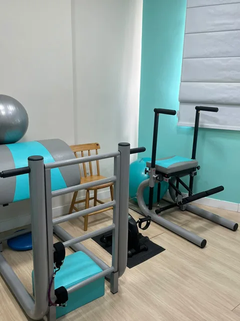 Barrel, chair e bola suíça usados na reabilitação